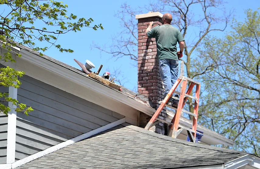 Chimney & Fireplace Inspections Services in Cedar Park, TX